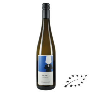 Grüner Veltliner Kalkschnitt 2024 BIO